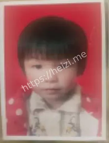 河南8岁失联女孩